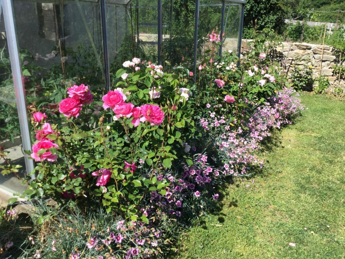 Bed and Breakfast Les Epis Du Vent Adilly Экстерьер фото